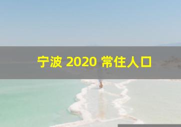 宁波 2020 常住人口